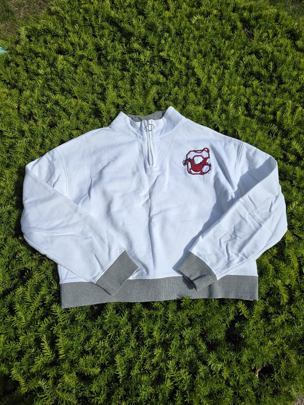 Unique SUNY Cortland White Half-Zip Champion Crop Cut Sweatshirt Size L